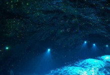 灵山幻境攻略（探索幻境，解开谜团，尽揽珍宝，全方位攻略精要）