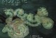 《魔兽世界沼泽之旅任务详解》（探索任务需注意的技巧与攻略）