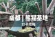 大神黑豹最新版出装攻略大揭秘！（以大神黑豹出装最新版攻略为主题，全面解析黑豹如何称霸战场）