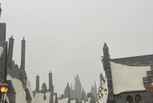 尽享极致刺激！《过山车攻略》带你身临其境（畅游过山车世界，解锁无尽惊喜）