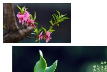 白银2技能提升攻略——打造最强战士（掌握技能升级技巧，让你在白银2中脱颖而出！）