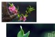 白银2技能提升攻略——打造最强战士（掌握技能升级技巧，让你在白银2中脱颖而出！）