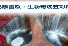 热带岛屿（以卡牌生存游戏为例，详解如何在热带岛屿生存）
