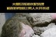 《母爱游戏攻略——透视畸形母爱的心理机制》（探秘母爱中的扭曲与病态，解析游戏中的攻略要点）