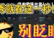 吕布无双最强出装攻略（绝世猛将，无敌吕布，如何打造最强输出装备？）
